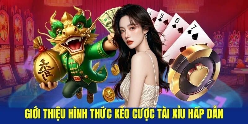 Những loại hình đặt cược kèo tài xỉu phổ biến hàng đầu